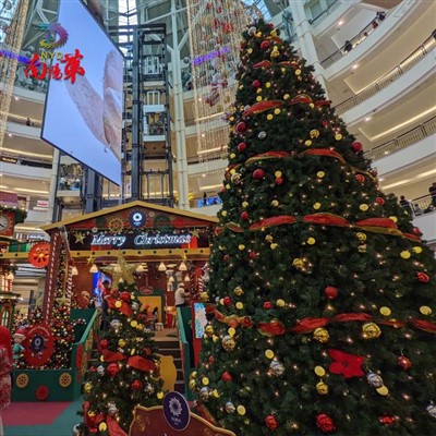 Riesenturm Weihnachtsbäume